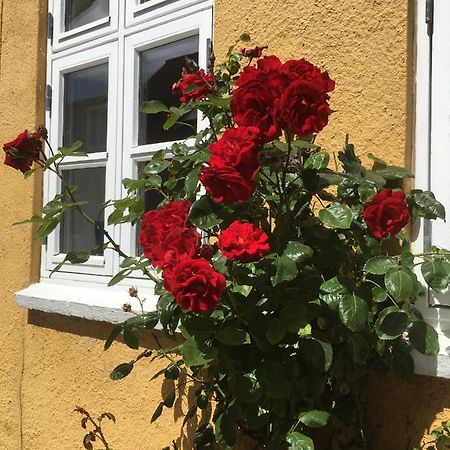 Jan Og Inges Bed & Breakfast 미델파르트 외부 사진